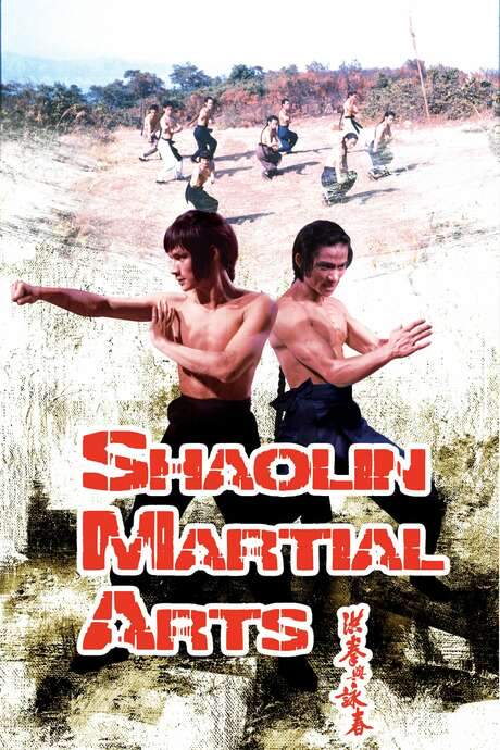 Shaolin Martial Arts